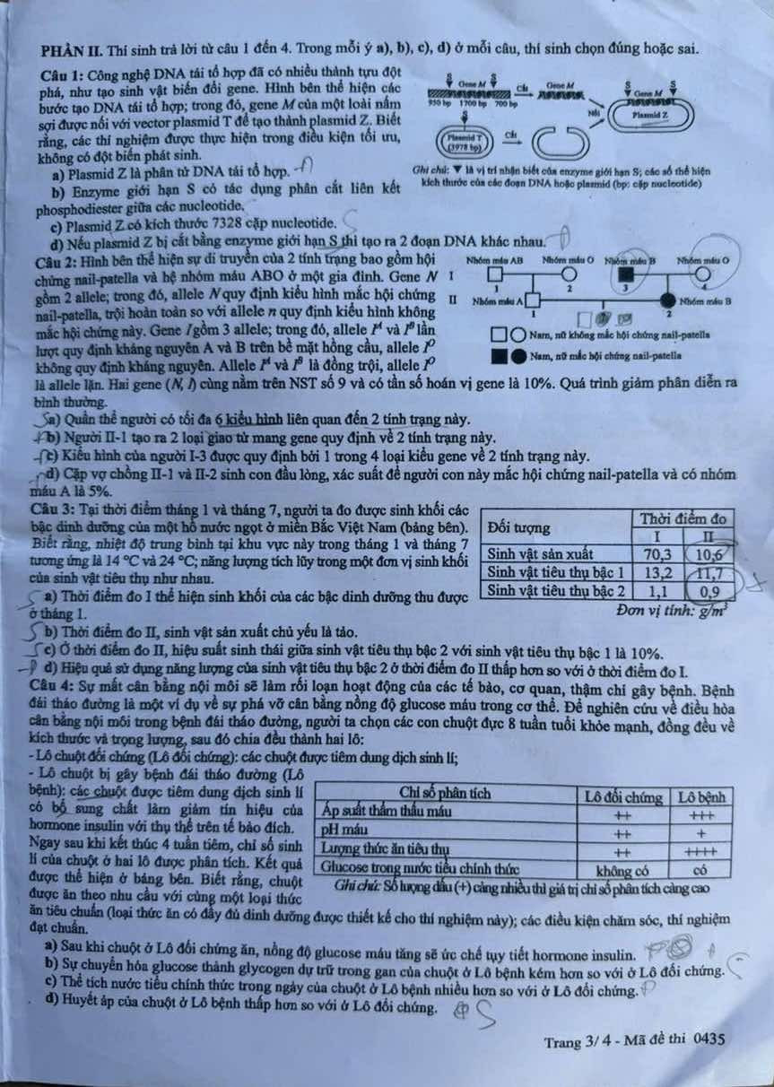 đề thi môn sinh học – Kì thi tốt nghiệp THPT năm 2025 mã đề 0435