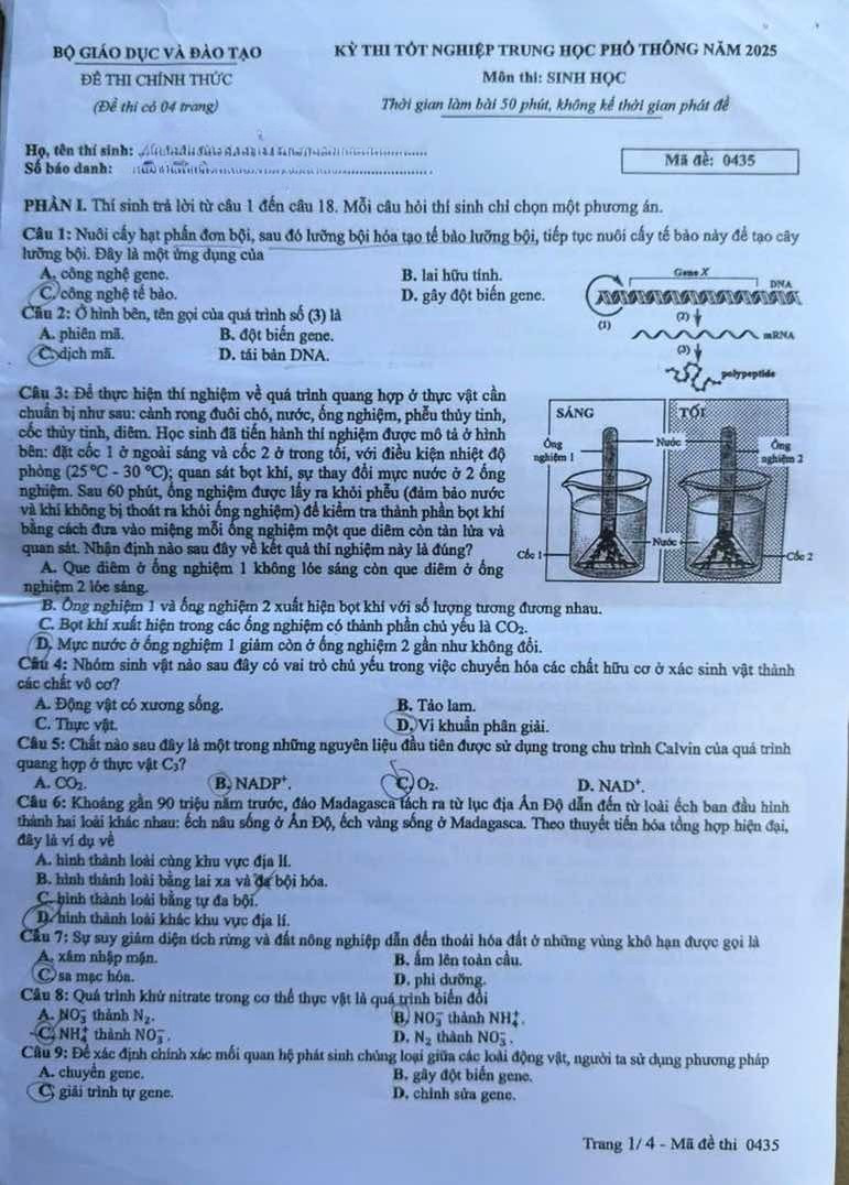 đề thi môn sinh học – Kì thi tốt nghiệp THPT năm 2025 mã đề 0435